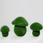 Combinación de setas Cep