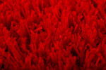 TURFPLAY BRIGHT RED 27 mm - Imagen 5
