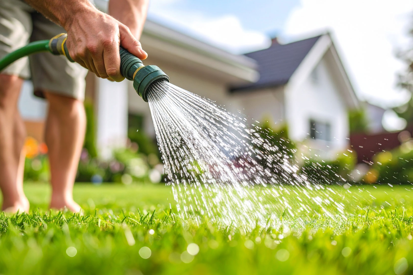 Persona regando con mangera un césped natural